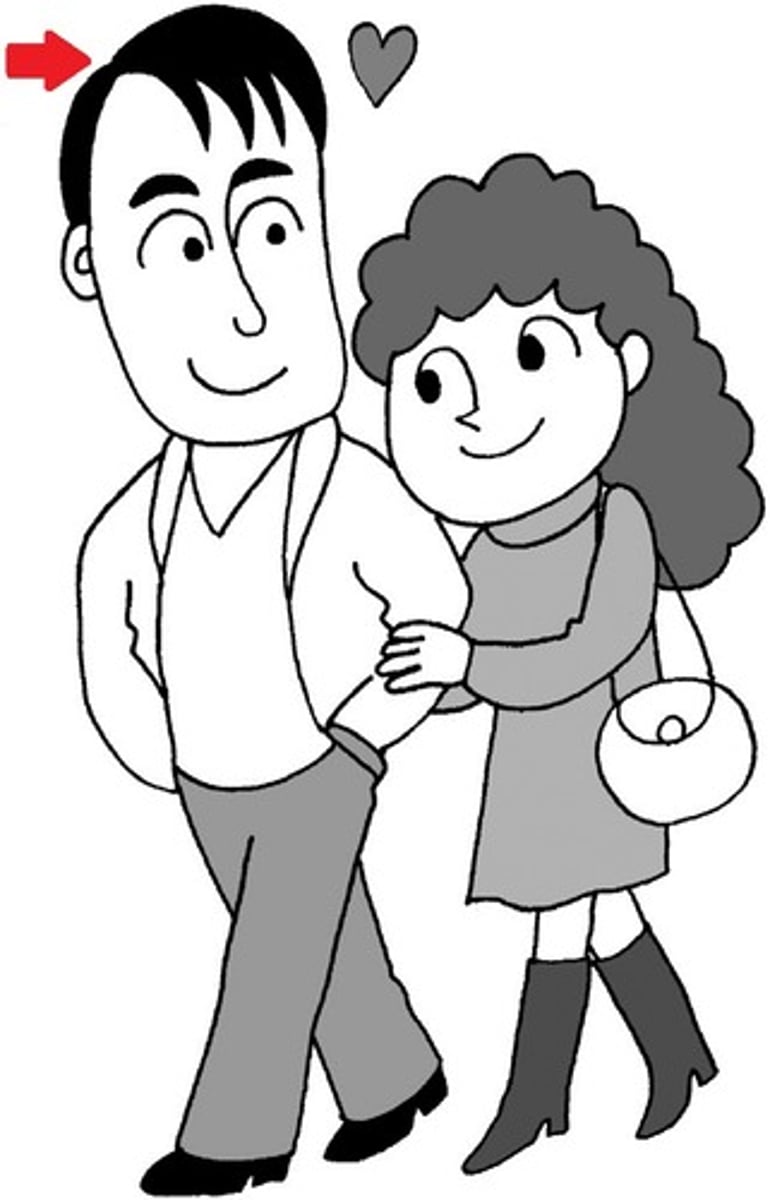 <p>boyfriend; he</p>