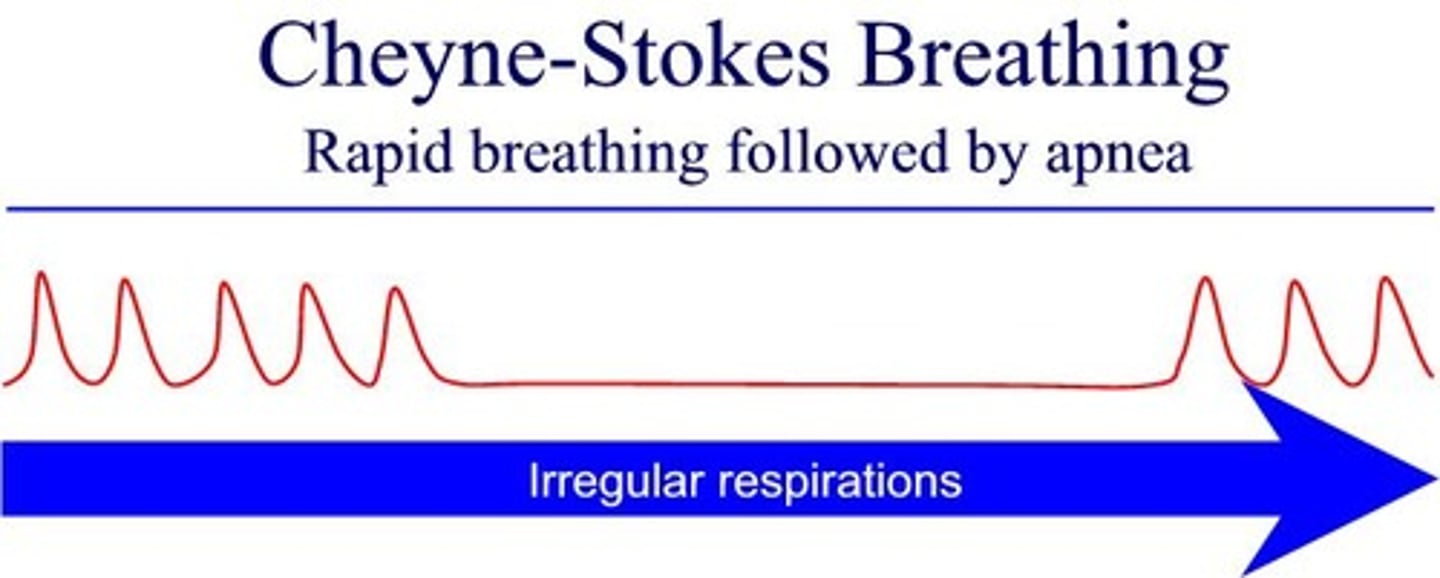<p>A breathing pattern marked by a period of apnea lasting 10 to 60 seconds, followed by gradually increasing depth and frequency of respirations</p>