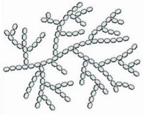 <p>a polysaccharide used for energy storage in animals</p>