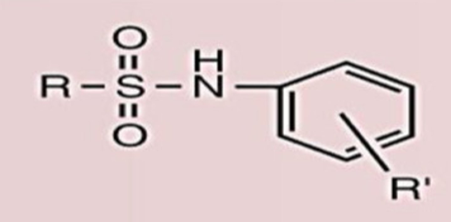 <p>Conj. Acid</p>