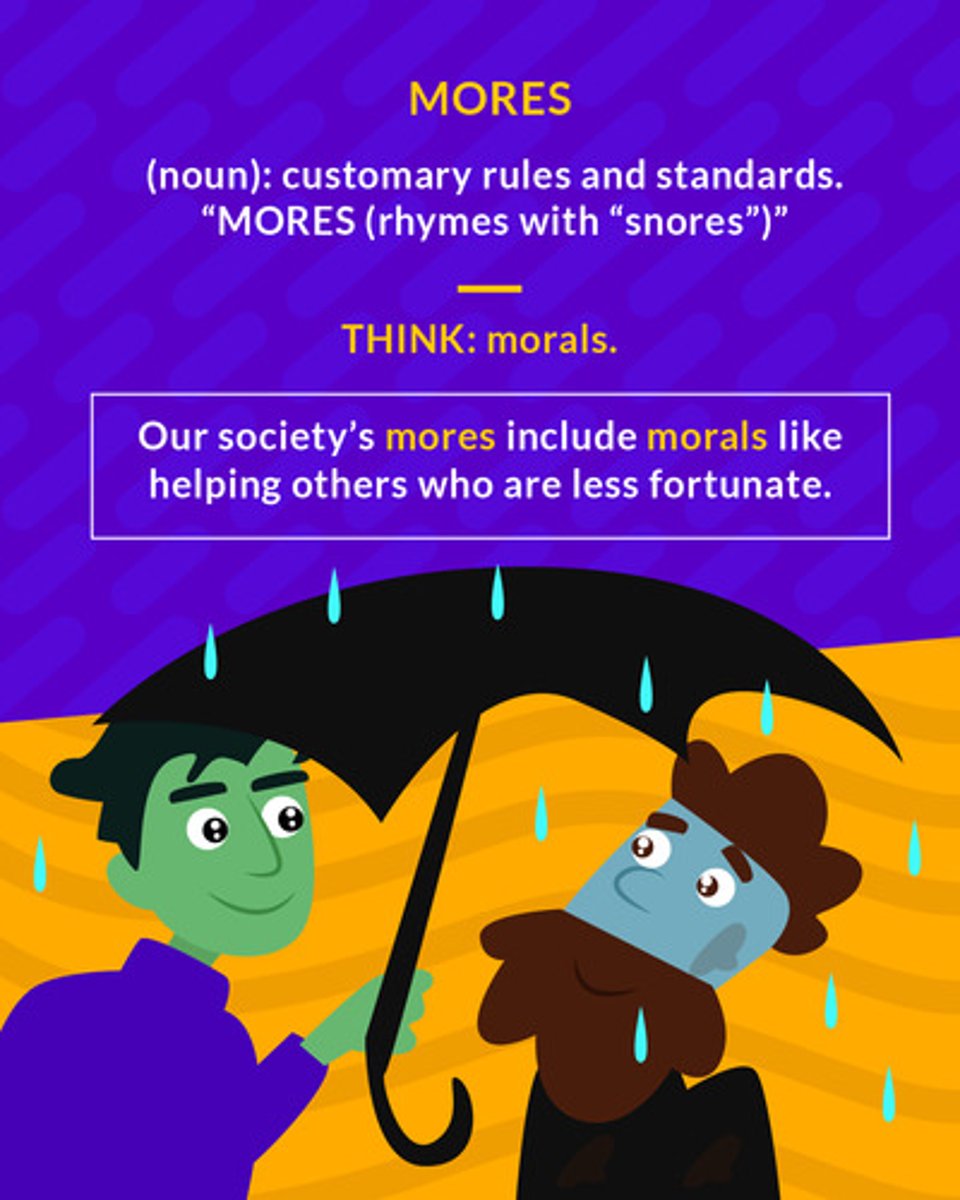 <p>(noun) accepted standards and customs of a social group</p><p>(noun) customary rules and standards</p>