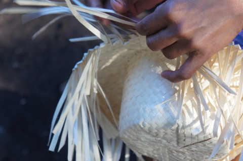 <ul><li><p>Region 5 (Sorsogon)</p></li><li><p>Weaved crafts made of buri, a native palm</p></li></ul>