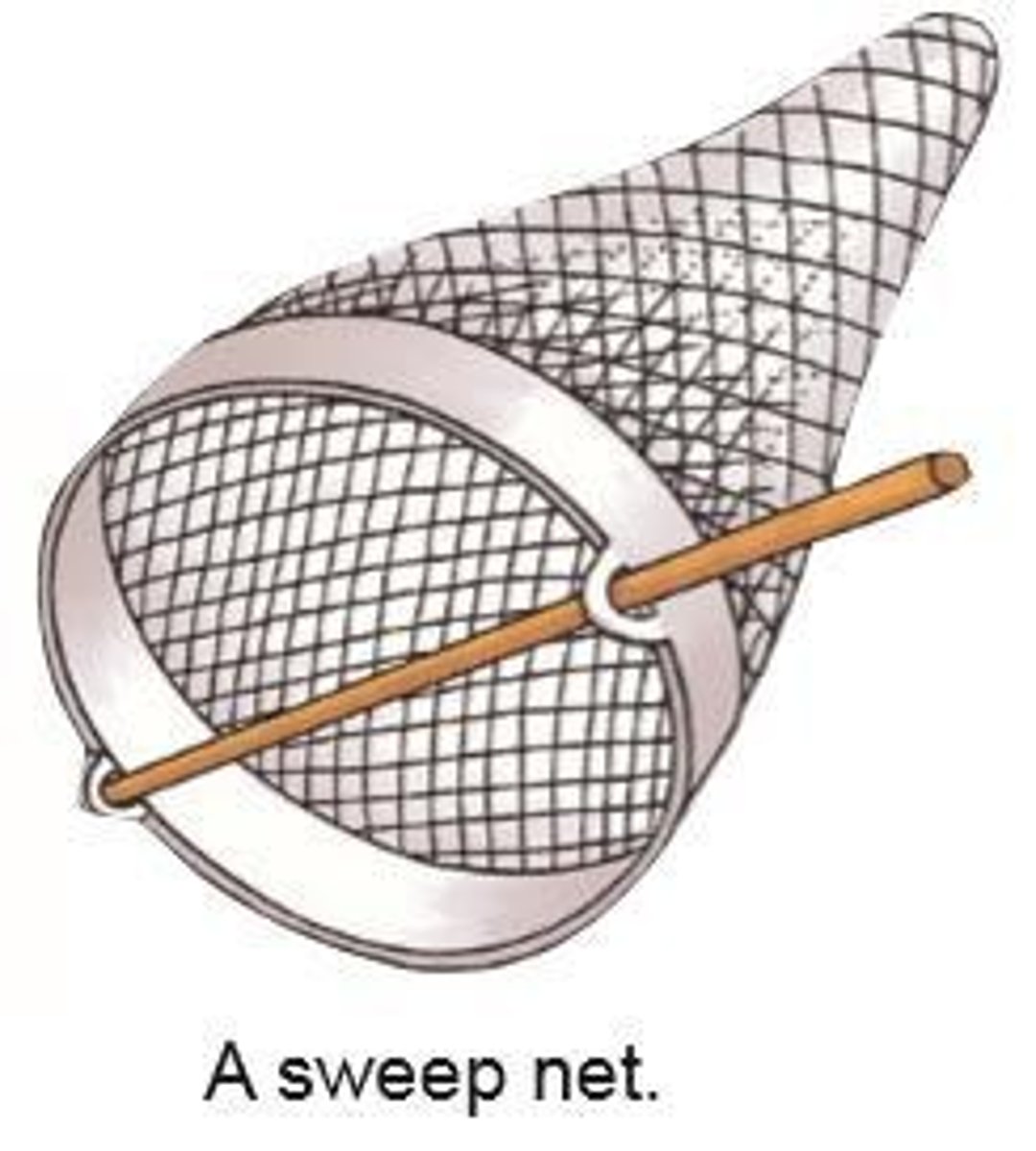 <p>A net moved gently through long grass and hedges to collect insects.</p>