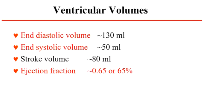 <ul><li><p>volume of blood present in the heart before it contracts</p></li><li><p>the end volume of diastole </p></li><li><p>~130 ml</p></li></ul><p></p>