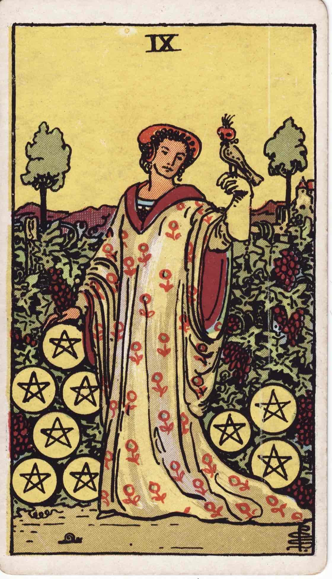 <p>Nine of Pentacles</p>