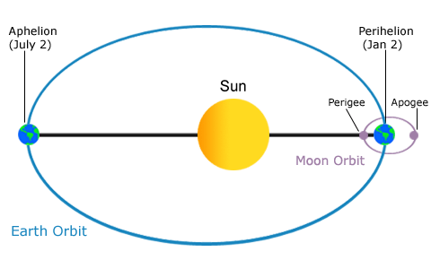 <p>point of an orbit that is closer to focal point</p>