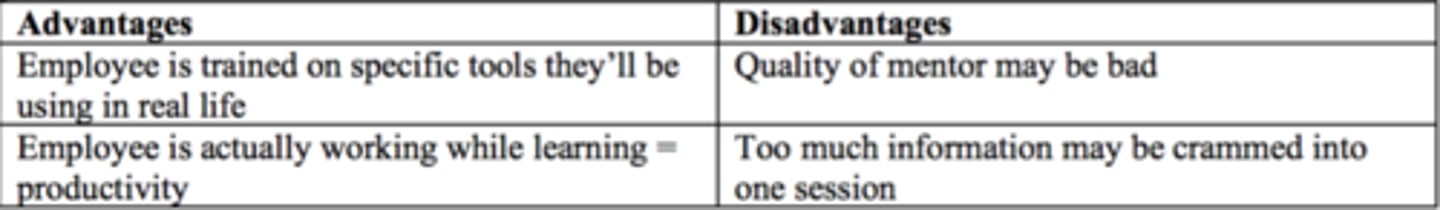 <p>involves coaching, tutoring, mentoring, role modelling, and participation in planned work activities</p>