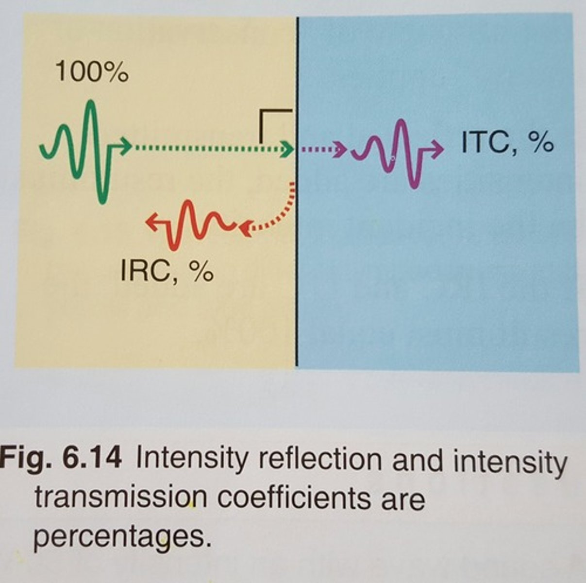 <p>the percentage % of the intensity that bounces back when a sound beam strikes the boundary between two media</p>