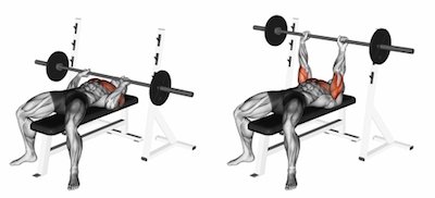 <ul><li><p>Pectoralis Major</p></li><li><p>Anterior Deltoid</p></li><li><p>Triceps Brachii</p></li></ul><p></p>