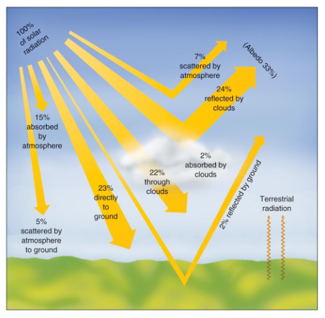 <p>On average, the earth's surface absorbs only 51% of the incoming solar radiation after it is filtered, absorbed, and reflected.</p>