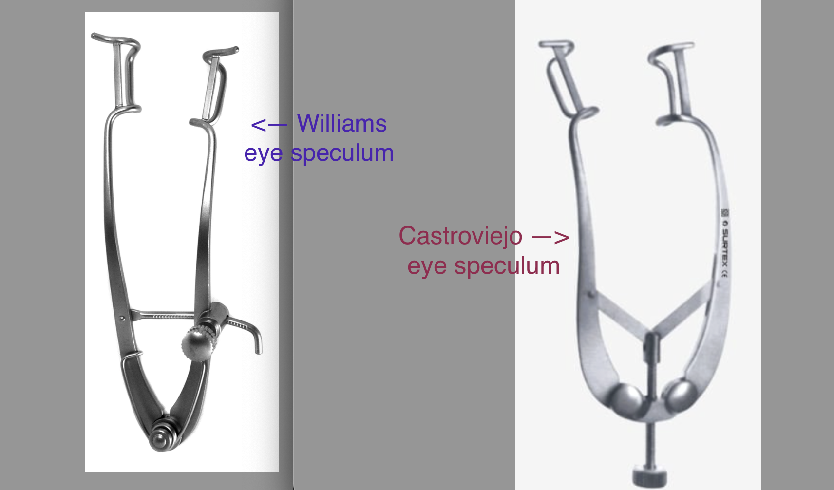 <p>Williams eye speculum</p>