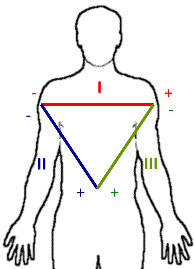 <p>Measures from right arm to left arm</p>