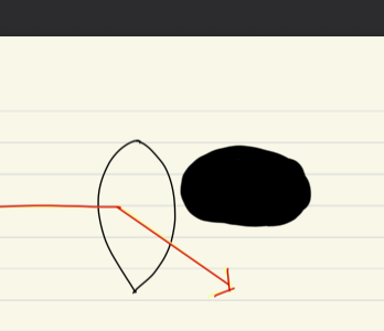 <p>What shape is this lens? what does it do to light </p>