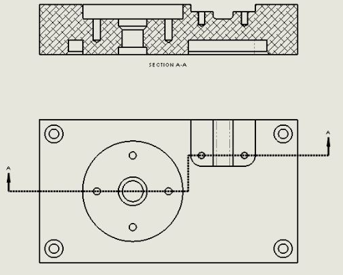 <p>Identify the type of section shown:</p>