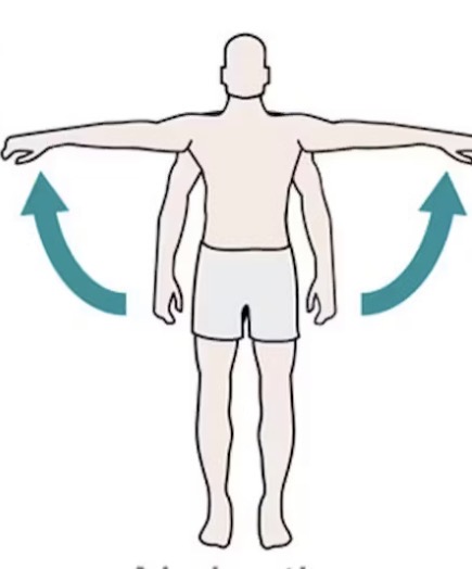 <p>Frontal plane, sagittal axis </p>