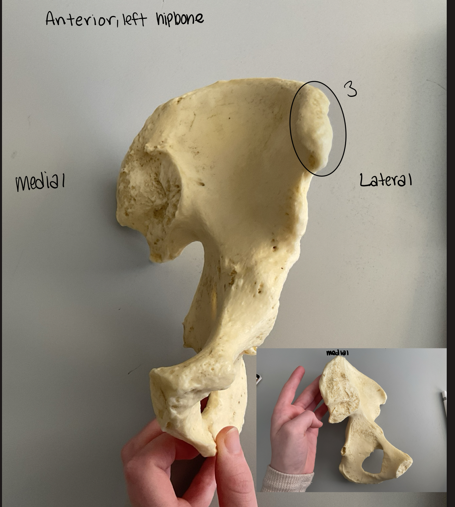 <p>3</p>
