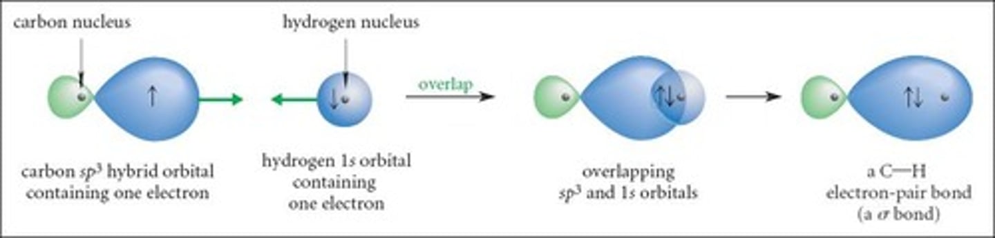 <p>Four sp³ hybrid orbitals are formed.</p>