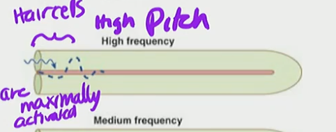 <p>High Pitch</p>