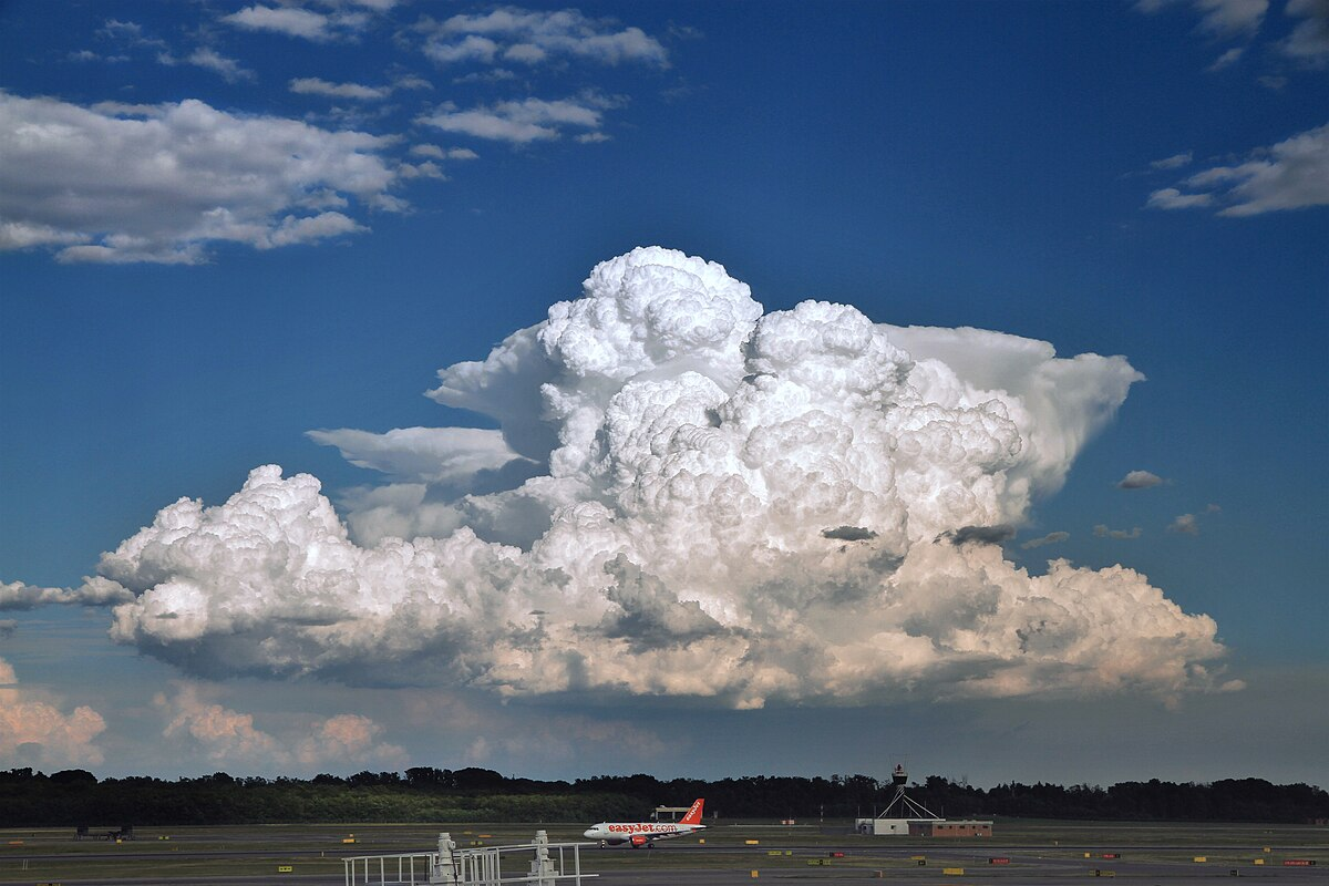 <p>Describe  cumulonimbus  clouds + environment which it forms </p>