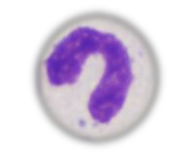 <p>What is this?</p>