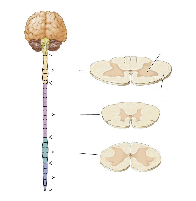 <p>What is this structure?</p>