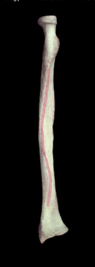 <p>What structure is this?</p>