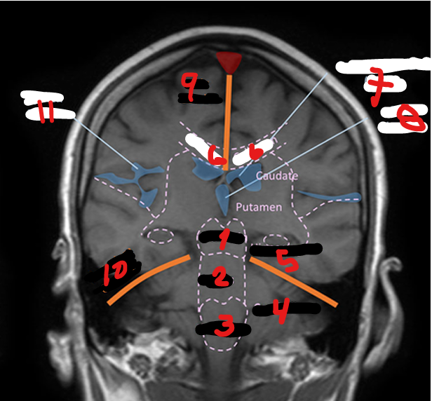 <p>7</p>
