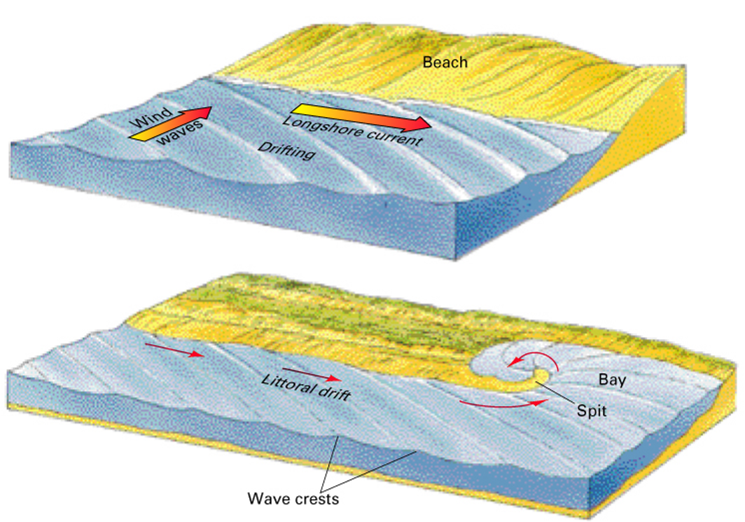 Golven bereiken de kust onder een hoek waardoorkustlangse stroming of drift ontstaat die zand langshet strand transporteert