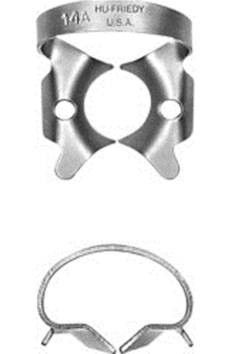<p>•Deeply festooned jaws for partially erupted or irregularly shaped molars</p>