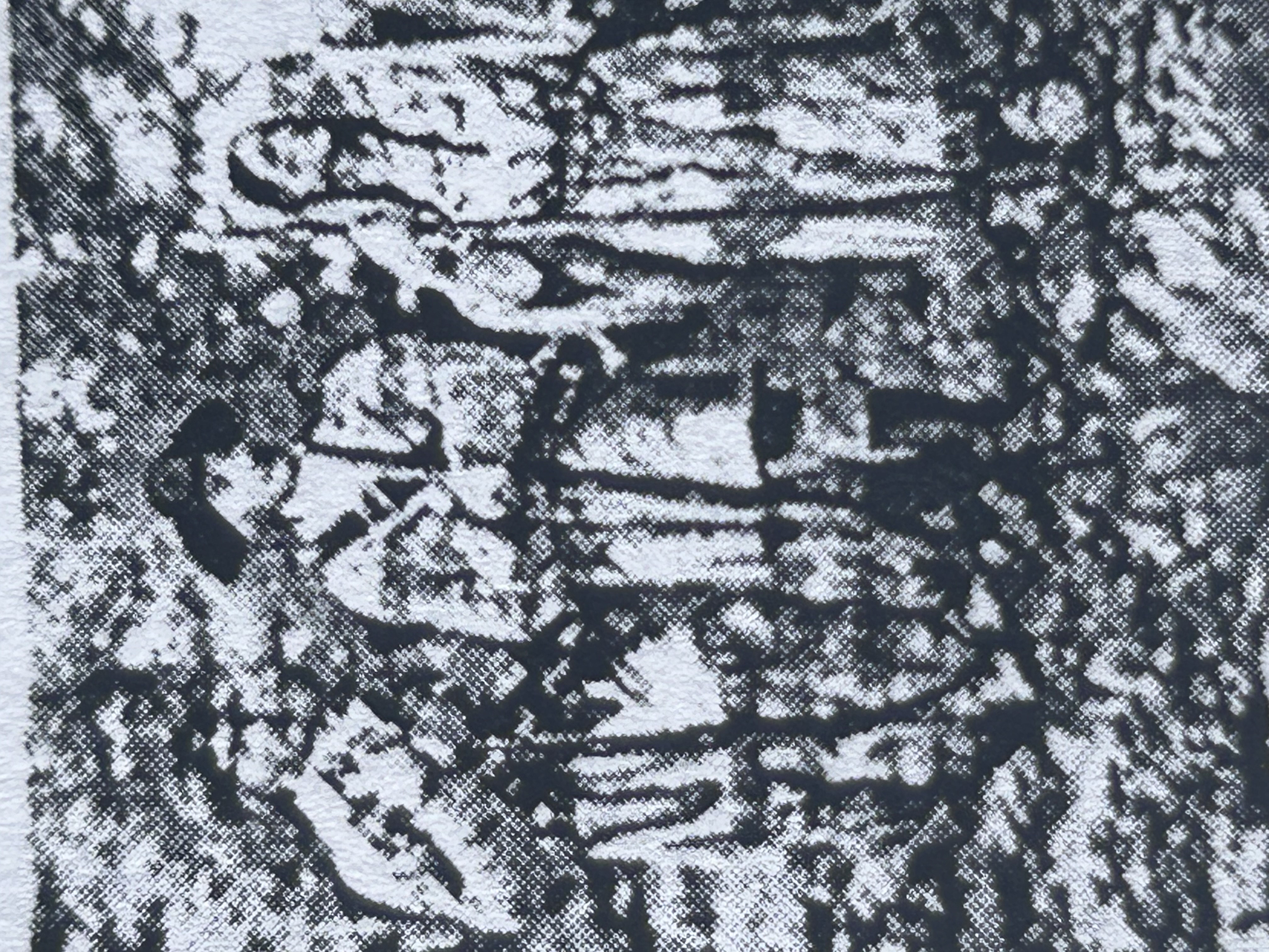 <p>What does this picture depict?</p>