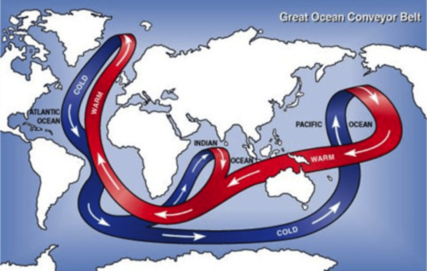 <p>an oceanic circulation pattern that drives the mixing of surface water and deep water</p>