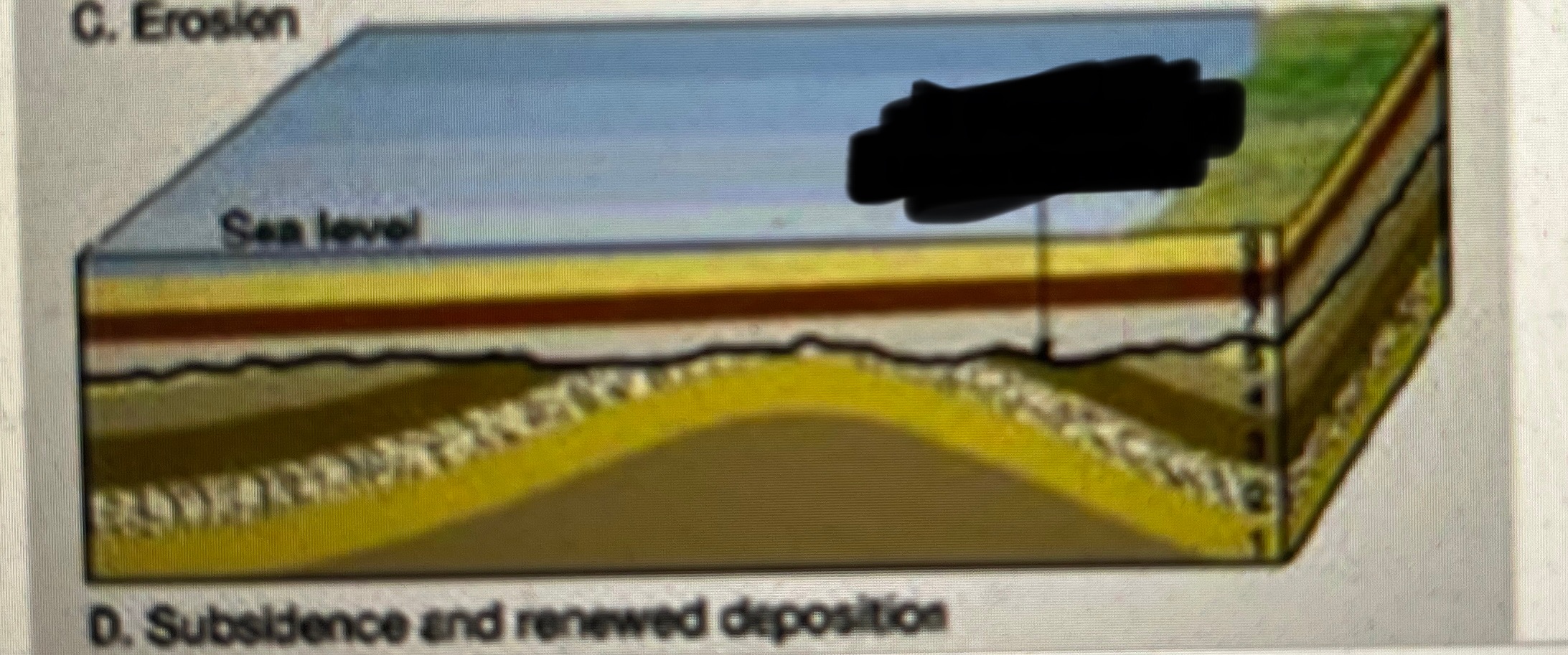 <p>Blurred part an example of…</p>