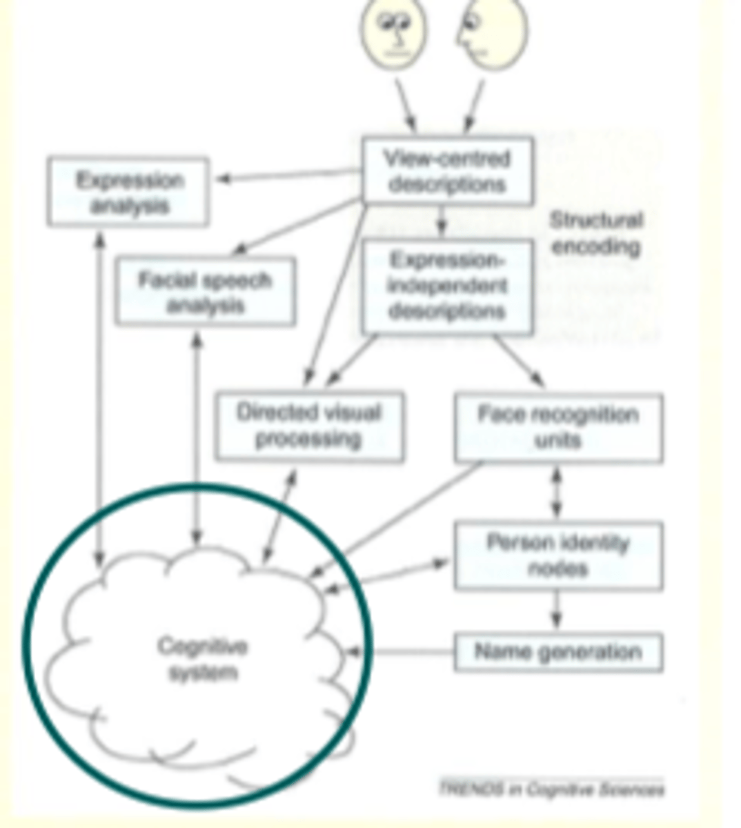 <p>all other proc that may be involved in or relevant for face recognition</p><p>episodic memories, attention and decisional proc's</p>