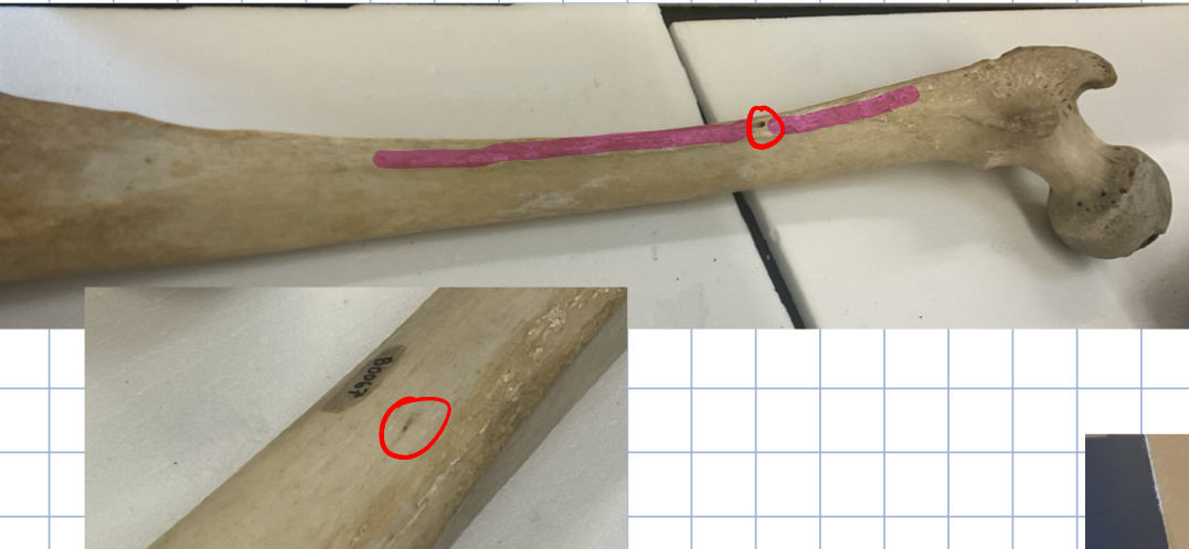 <p>What is the red circle?</p>