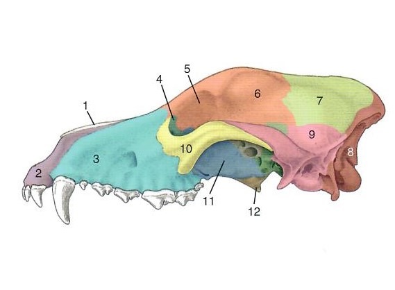 <p>#6</p>