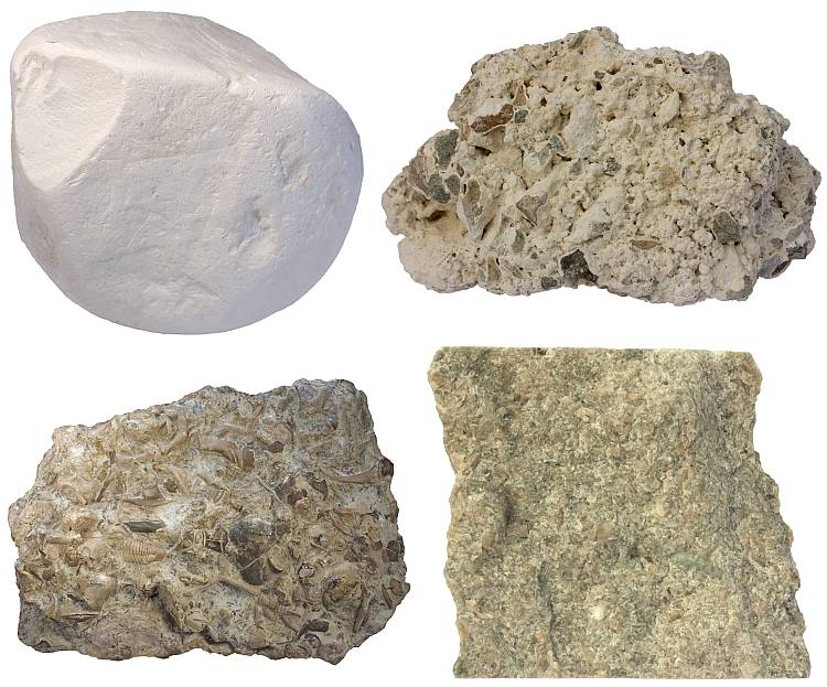 <p><span style="font-family: sans-serif">Sedimentary rock: Limestone</span></p><p><strong>Limestone is a sedimentary rock made primarily from calcium carbonate, usually in the form of calcite and aragonite. Its grains vary in size and can consist of a variety of materials including shells, coral, and mud. It is typically off-white to gray in color and usually forms in shallow marine environments.</strong></p><p><br><strong>Limestone is usually off-white to gray in color, but may also have tinges of yellow, brown, or pink. Many varieties of limestone are massive with little to no identifying features, while others are almost entirely composed of shells and fossils and may contain other features like nodules and bedding planes.</strong></p><p></p>