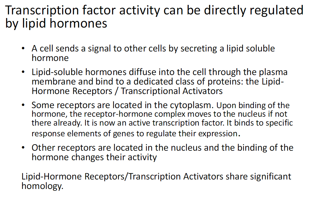 <p><strong>Direct Regulation</strong><br> Transcription factor activity can be directly regulated by lipid hormones</p><p><strong>Hormone Signaling</strong><br> A cell sends a signal to other cells by secreting a lipid-soluble hormone</p><p><strong>Hormone Entry and Receptors</strong><br> Lipid-soluble hormones diffuse through the plasma membrane<br> They bind a dedicated class of proteins<br> These are lipid-hormone receptors also called transcriptional activators</p><p><strong>Cytoplasmic Receptors</strong><br> Some receptors are located in the cytoplasm<br> Hormone binding forms a receptor–hormone complex<br> The complex moves to the nucleus if not already there<br> It becomes an active transcription factor<br> It binds specific response elements of genes<br> This regulates gene expression</p><p><strong>Nuclear Receptors</strong><br> Other receptors are located in the nucleus<br> Hormone binding changes their activity</p><p><strong>Shared Features</strong><br> Lipid-hormone receptors and transcription activators share significant homology</p>
