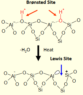 <p>Water is lost, and the Bronsted acid site becomes a Lewis acid site.</p><p>The Lewis acid site has an empty orbital to accept an electron pair from a Lewis base to form a Lewis adduct.</p>