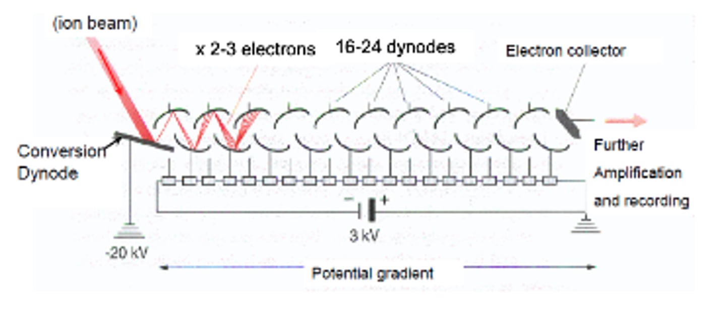 <p>ions hit metal surface or semiconductor and breaks off to make secondary electrons. secondary electrons also fragment and make more secondary electrons. 1 electron can make 1x10^6 electrons, destructive detection. good for ion trap and quadrupole</p>