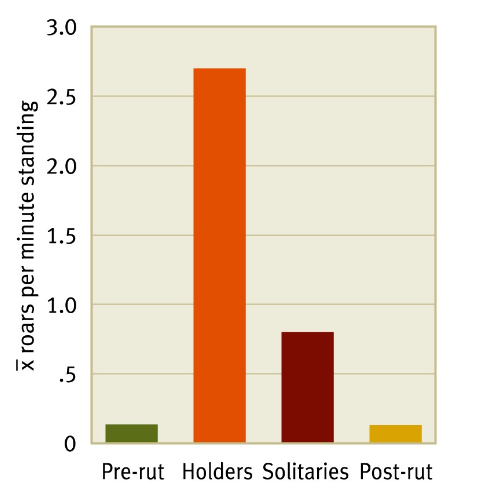 <p>-Most male-male interactions are settled with one male withdrawing</p><p>-Males in possession of a harem roared much more than males without one</p><p>-Fighting is the last resort</p>