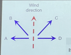 If you are in the Southern Hemisphere and the dashed arrow is the wind direction, which statement is true 

* A is the direction of the surface currents, B is the direction of Ekman transport 
* B is the direction of the surface currents, A is the direction of Ekman transport 
* C is the direction of the surface currents, D is the direction of Ekman transport 
* D is the direction of the surface currents, C is the direction of Ekman transport 
