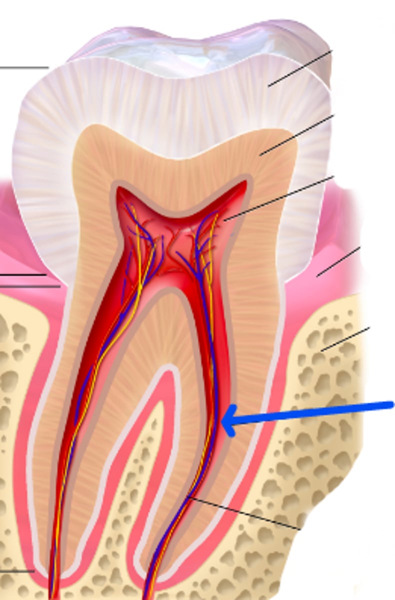 <p>Identify this space.</p>