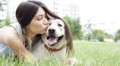 Il faut être ____ avec son chien et le caresser souvent.