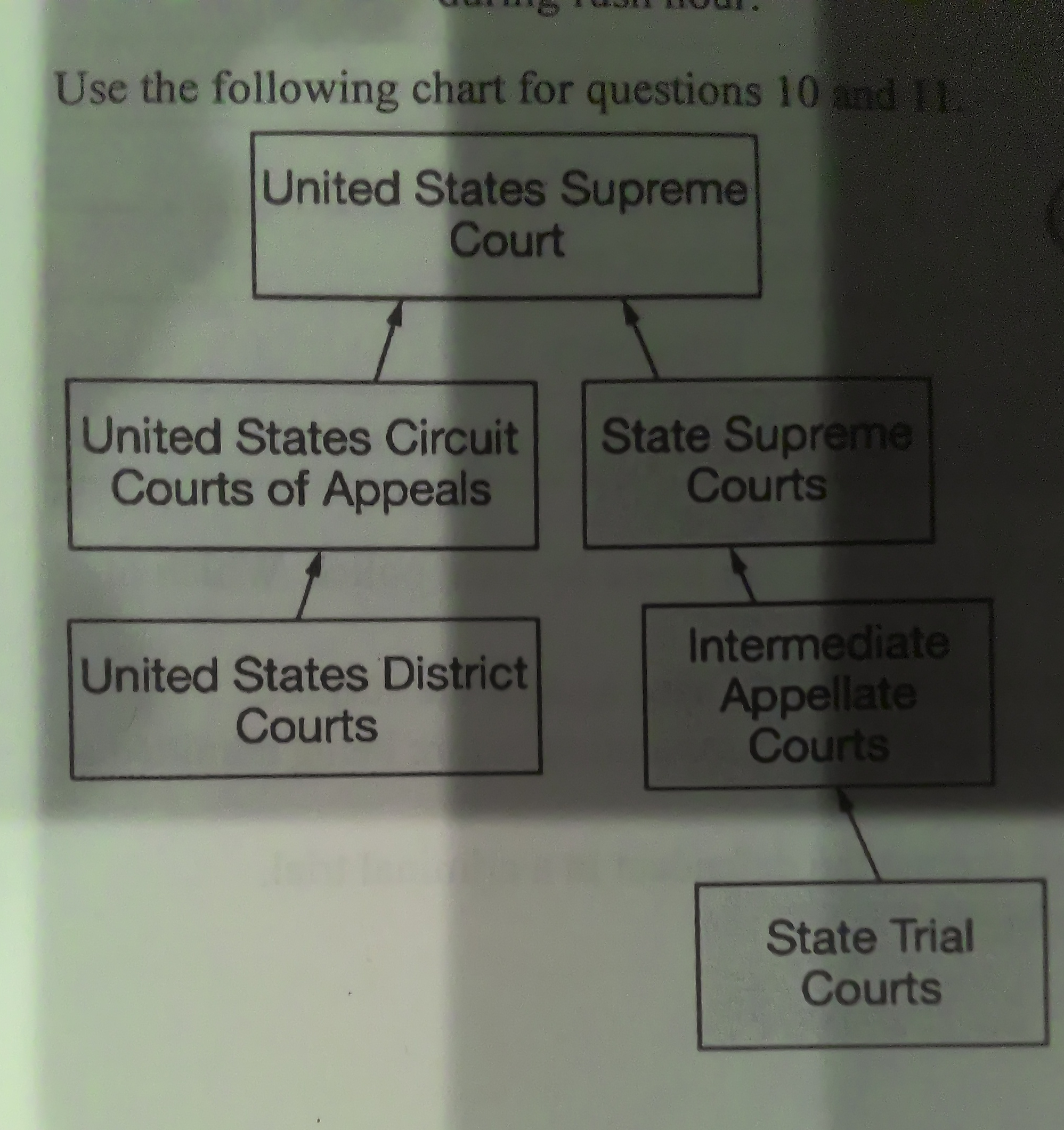 <p>[US Court Structure] Which of the following statements best explains the diagram?</p>