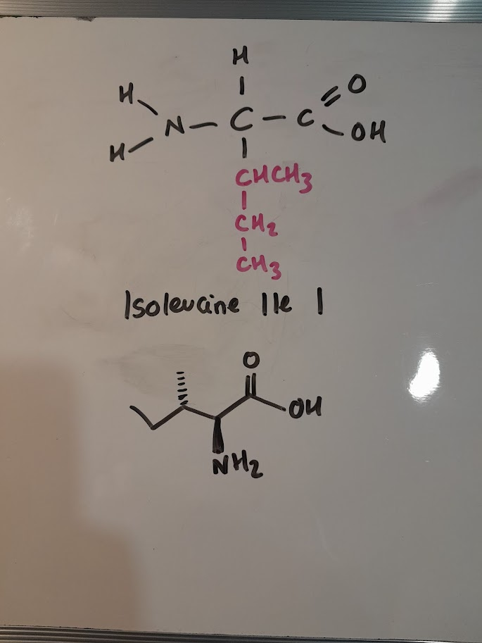 <ul><li><p>Ile</p></li><li><p>I</p></li><li><p>hydrophobic nonpolar</p></li><li><p>aliphatic</p></li></ul><p></p>
