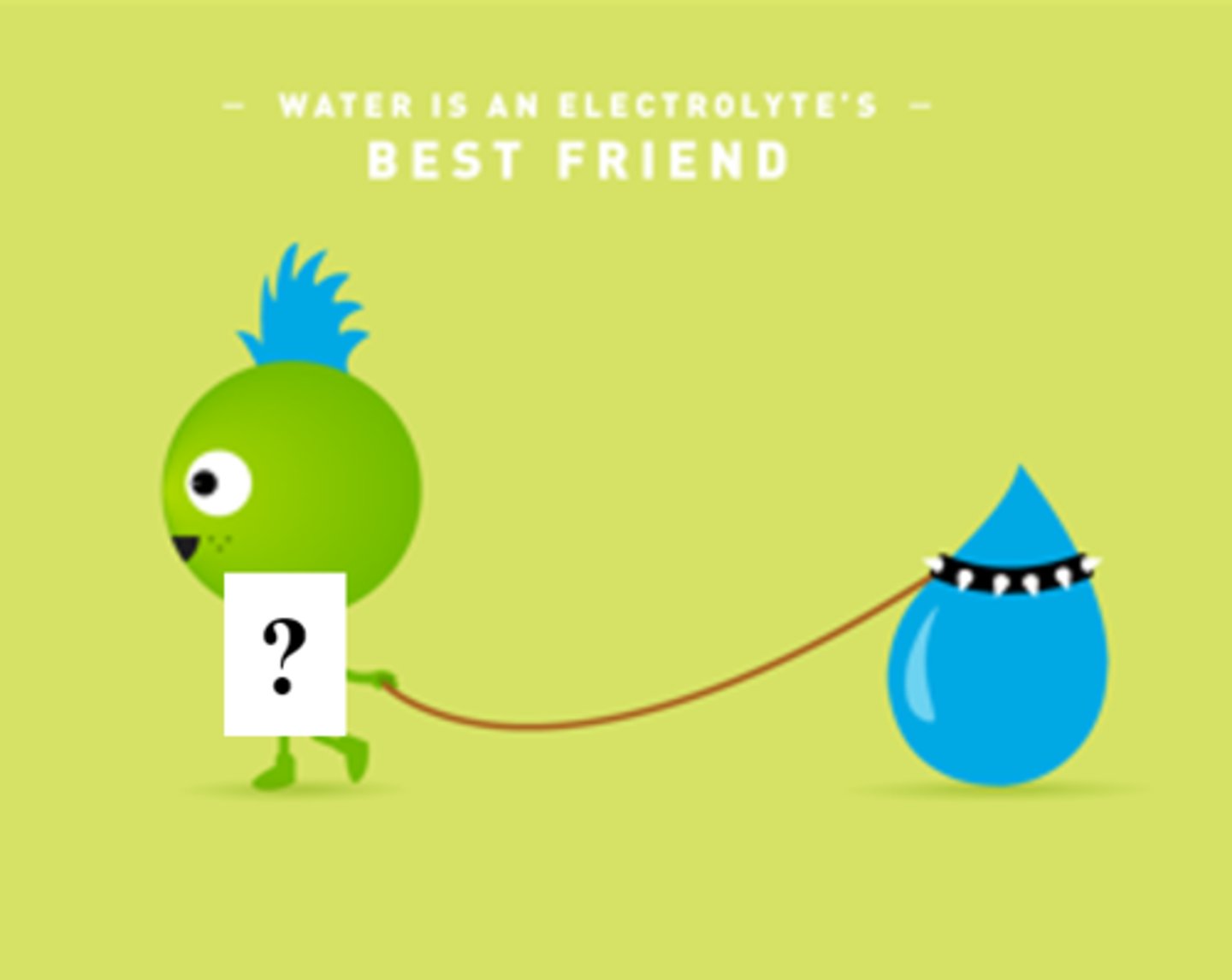<p>most abundant extracellular cation - controls ECF volume &amp; water distribution</p>