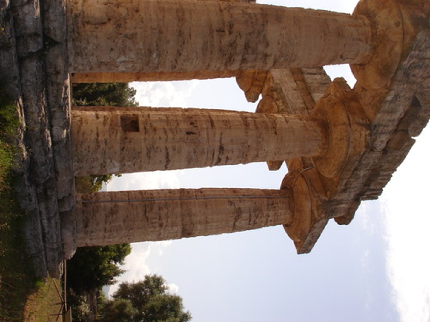 <p>a slight convex curve in the shaft of a column, introduced to correct the visual illusion of concavity produced by a straight shaft.</p>