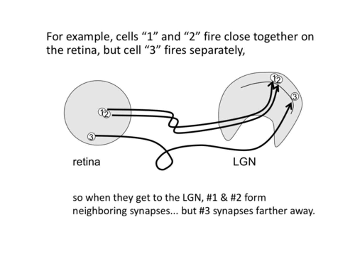 <p>Explain this Pic</p>