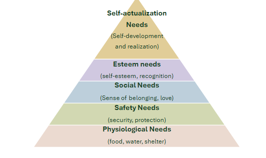 <ul><li><p>Physiological needs: Food &amp; water</p></li><li><p>Safety needs: Security, protection</p></li><li><p>Social needs: Belonging</p></li><li><p>Esteem needs: Self-esteem, recognition</p></li><li><p>Self-actualization needs: Self-development and realization</p></li></ul><p></p>