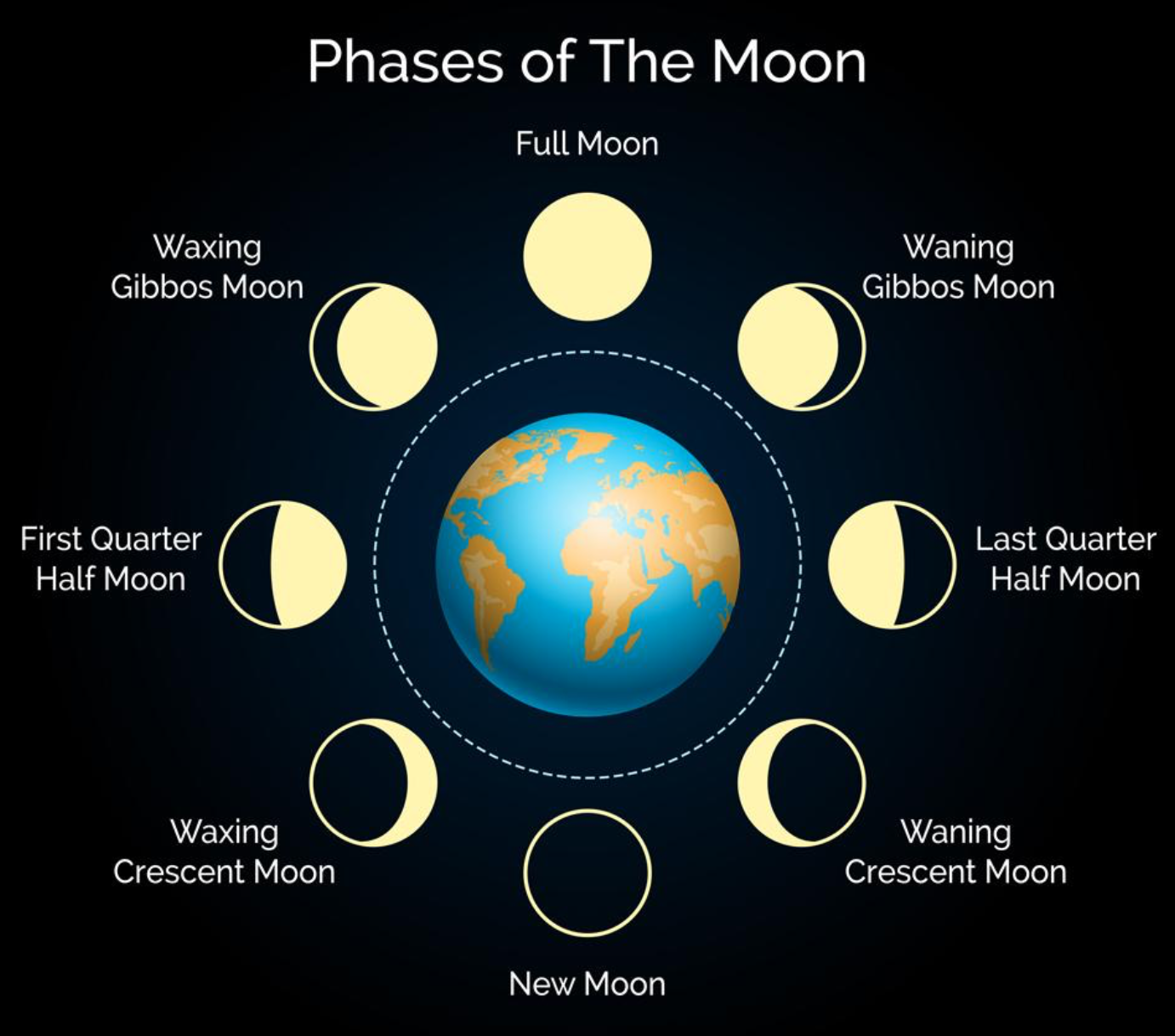 New, waxing crescent, 1st quarter, waxing gibbous, full, waning gibbous, 3rd quarter, waning crescent